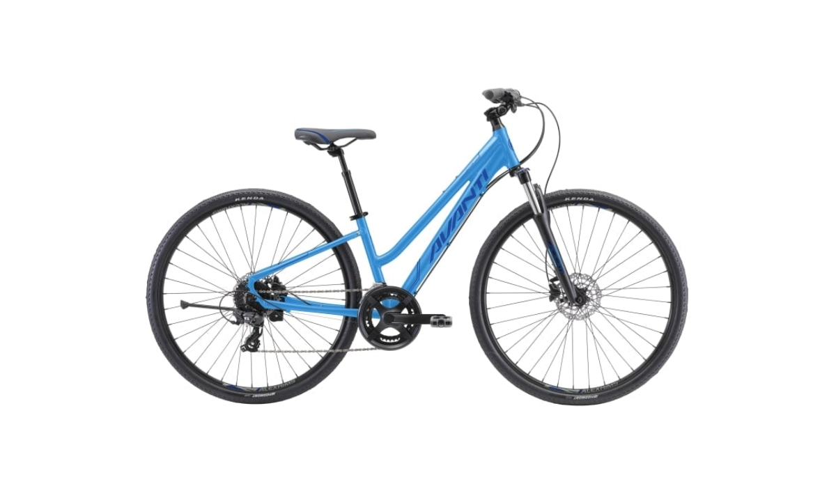 Avanti Discovery MS 2 Low Blue