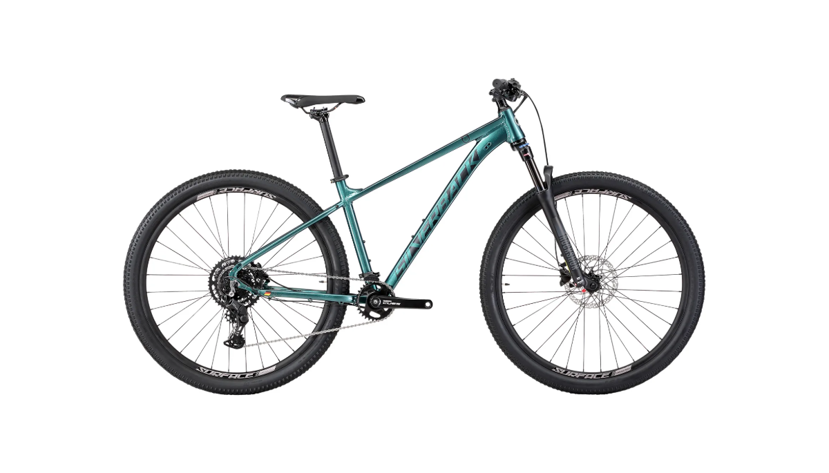 Silverback Series 9 29" (2025)