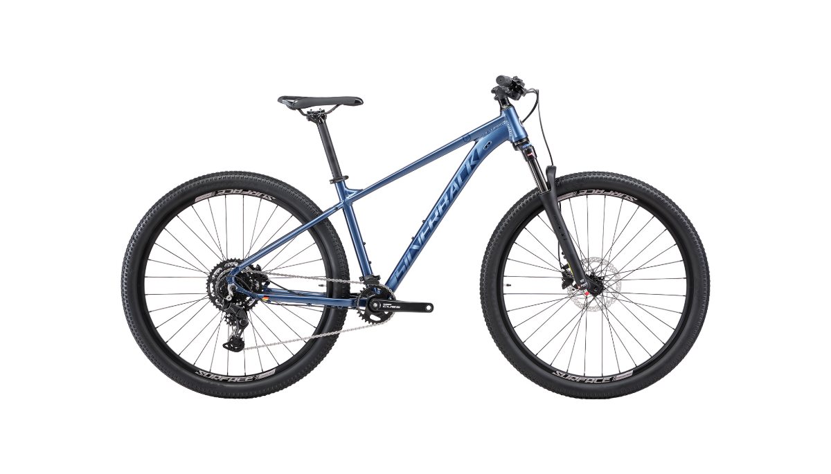 Silverback Series 9 29" (2025)