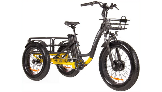 Sobowo Fat Electric Trike Bike (2024)
