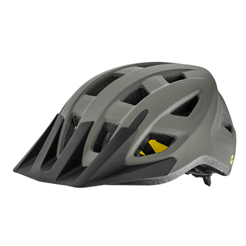 Giant Path MIPS Helmet